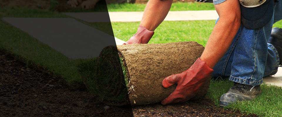 Fostoria Landscapers